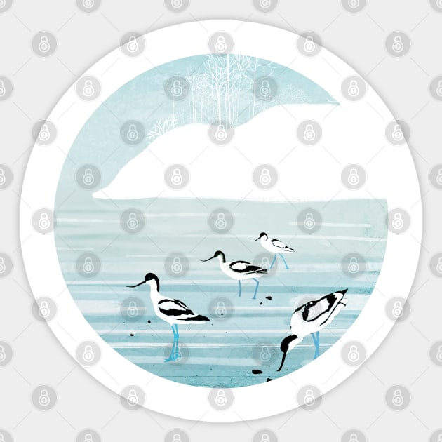 Avocets Sticker by KatherineBlowerDesigns